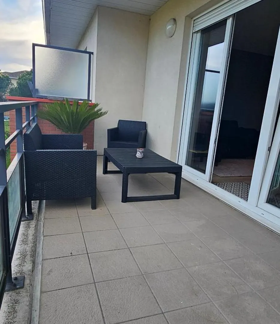 Charmant Appartement Tout Equipe Seilh France