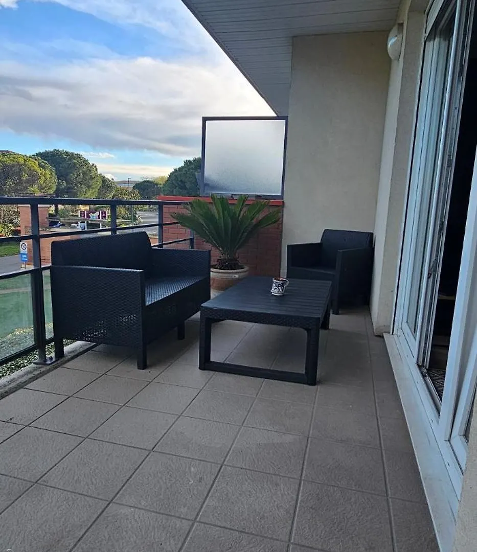 Apartment Charmant Appartement Tout Equipe Seilh