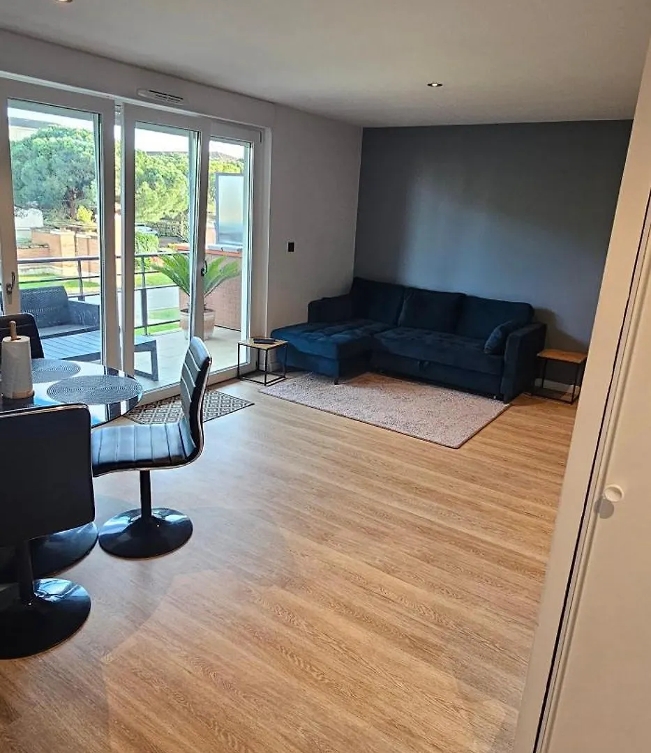Charmant Appartement Tout Equipe Seilh 0*,